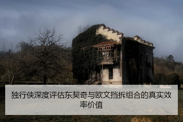 独行侠深度评估东契奇与欧文挡拆组合的真实效率价值